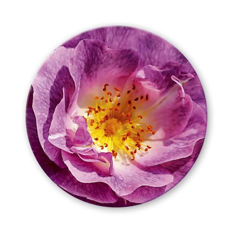 untersetzer-web-1400px-bild18 untersetzer-web-1400px-bild18