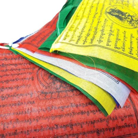 20200406_204238 20200406_204238