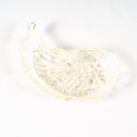 edelstein flügel bergkristall edelstein flügel bergkristall