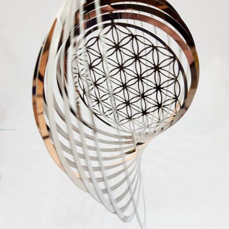 20210107_214306 20210107_214306