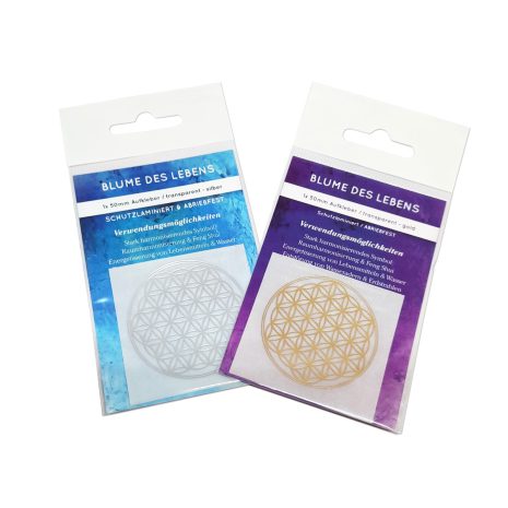 20210212_181407-2 20210212_181407-2